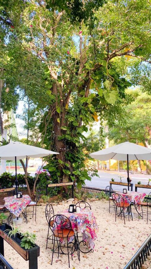 ميريدا Luna Nueva Hotel-Boutique المظهر الخارجي الصورة