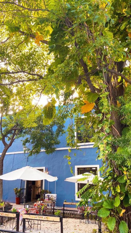 ميريدا Luna Nueva Hotel-Boutique المظهر الخارجي الصورة